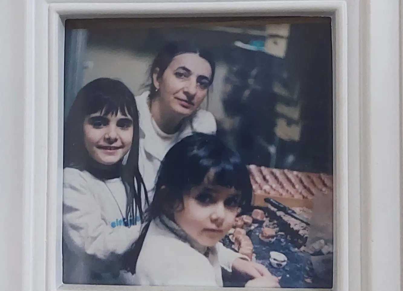 Porodična tradicija kolača - Princeza Arabic